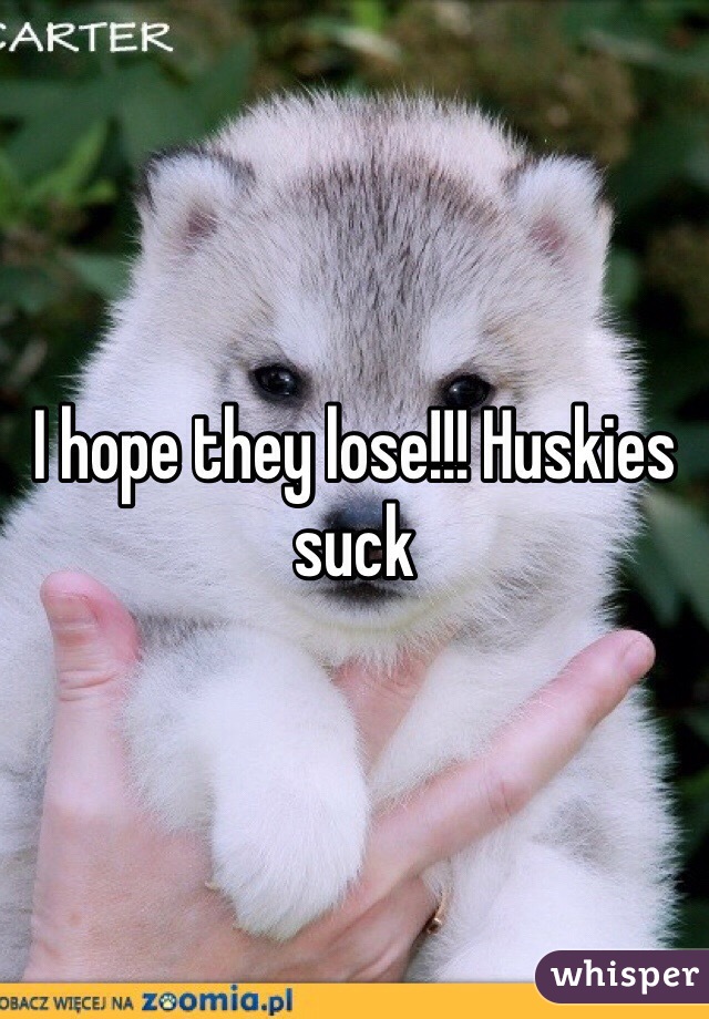 I hope they lose!!! Huskies suck 