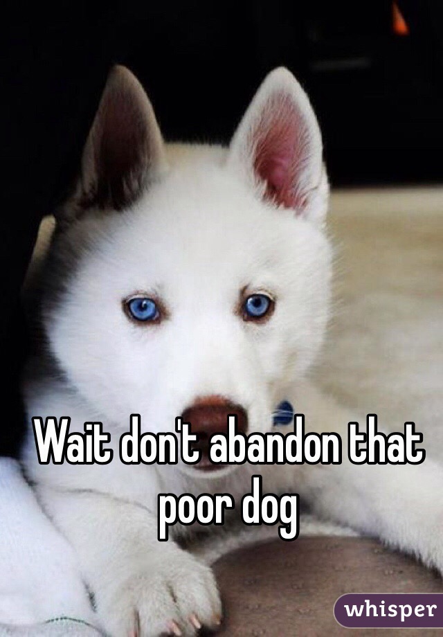 Wait don't abandon that poor dog 