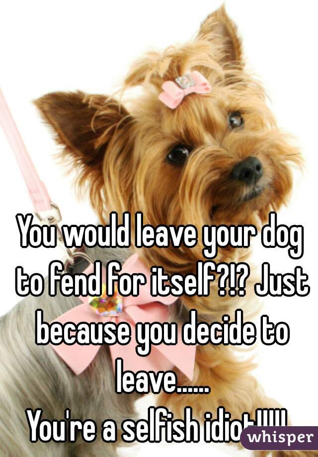 You would leave your dog to fend for itself?!? Just because you decide to leave......
You're a selfish idiot!!!!! 