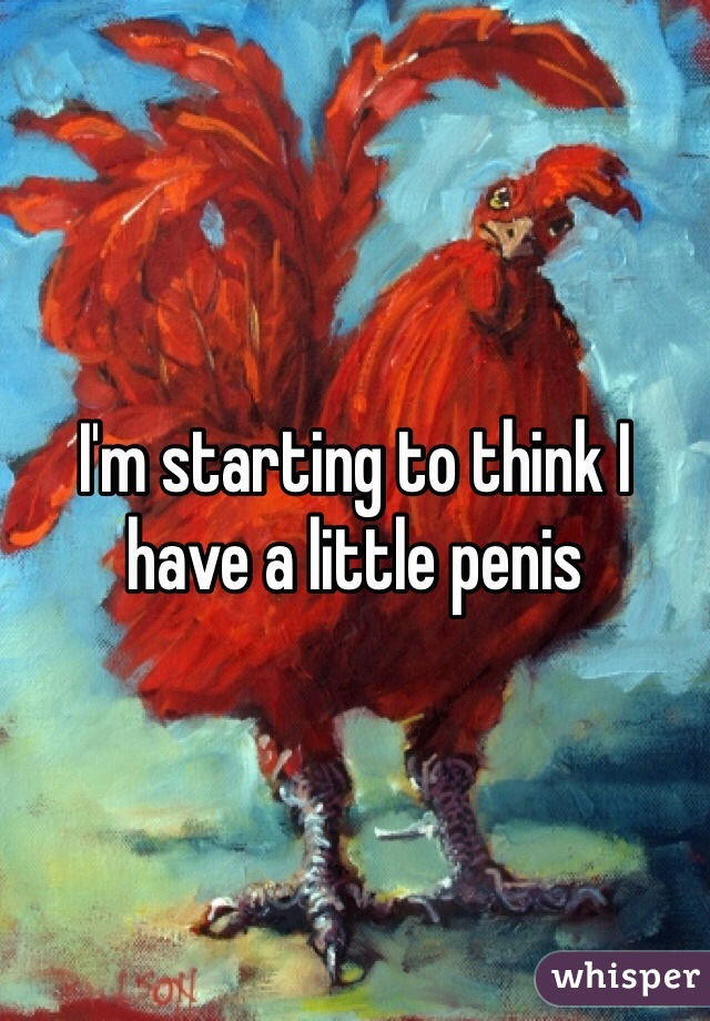 I'm starting to think I have a little penis