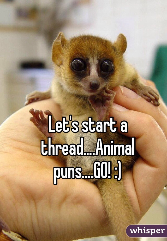 Let's start a thread....Animal puns....GO! :) 