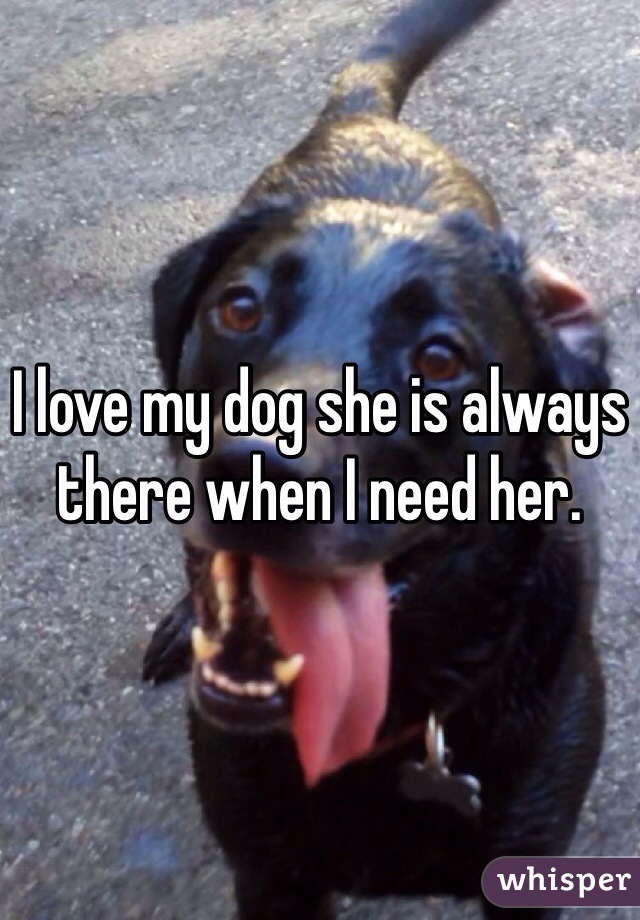 I love my dog she is always there when I need her.