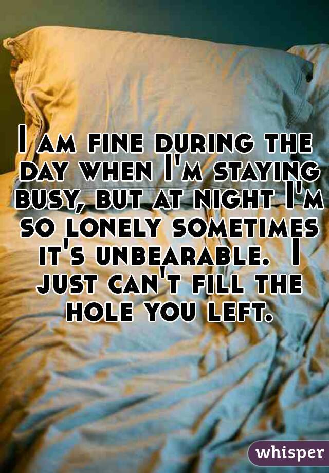 I am fine during the day when I'm staying busy, but at night I'm so lonely sometimes it's unbearable.  I just can't fill the hole you left.