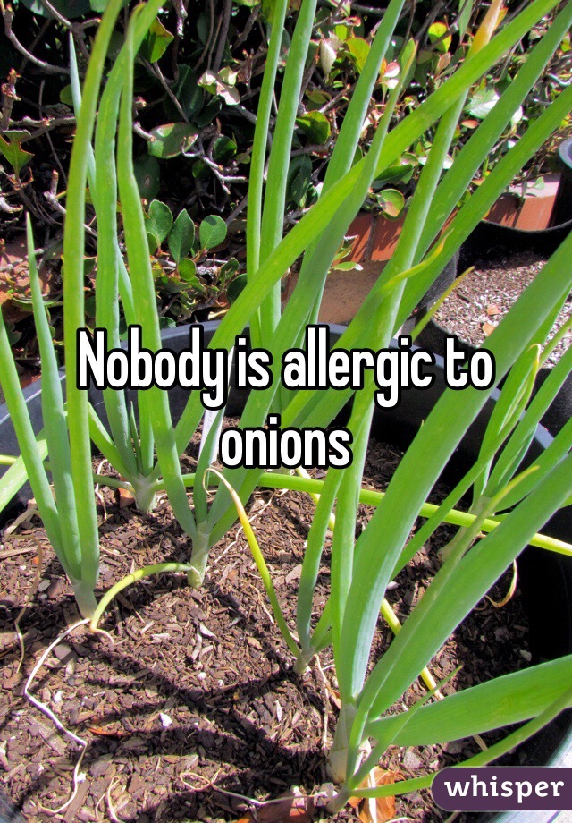 Nobody is allergic to onions