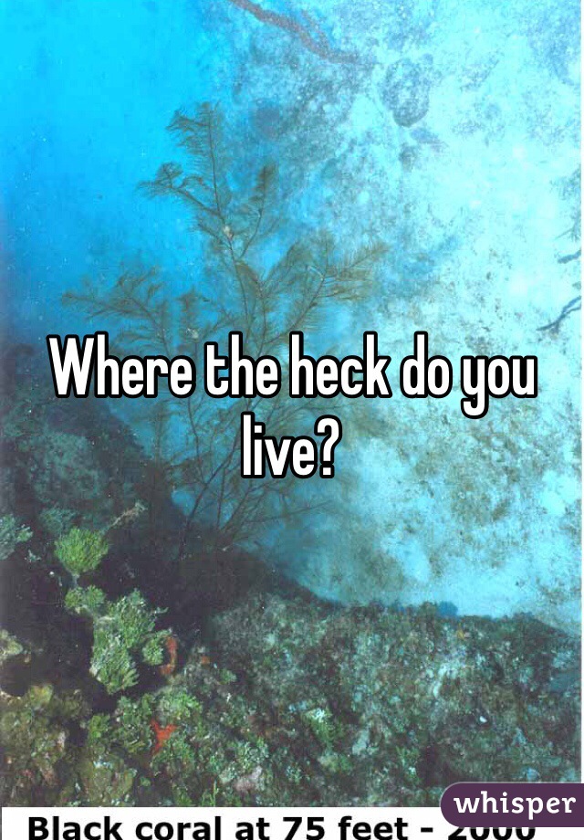 Where the heck do you live?