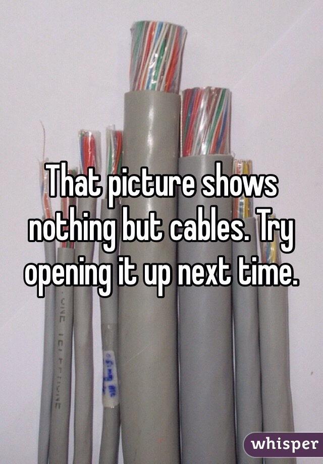 That picture shows nothing but cables. Try opening it up next time. 
