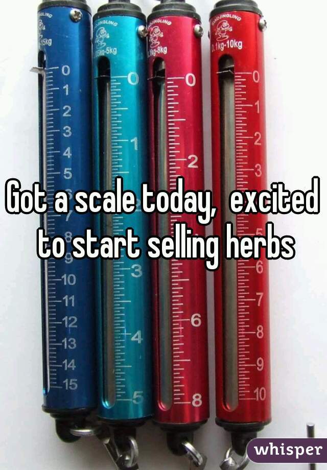 Got a scale today,  excited to start selling herbs