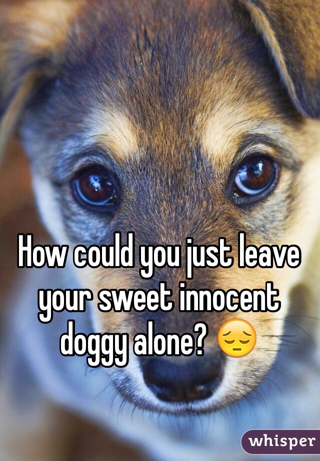 How could you just leave your sweet innocent doggy alone? 😔