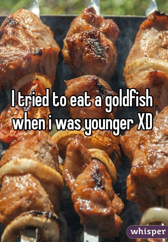I tried to eat a goldfish when i was younger XD