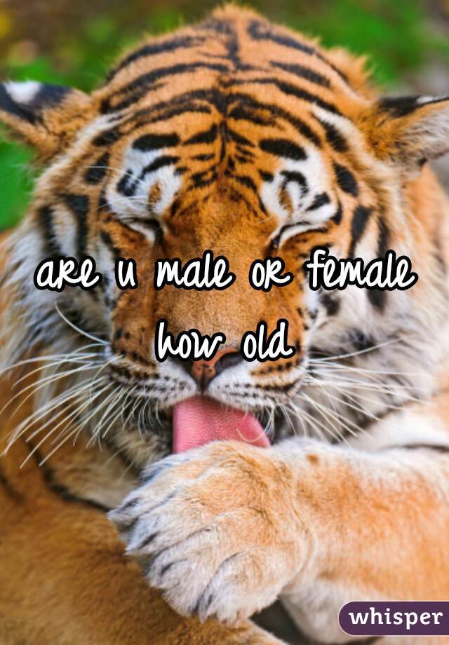 are u male or female how old 