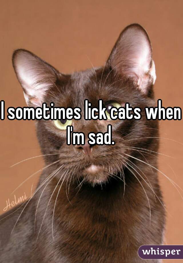 I sometimes lick cats when I'm sad. 
