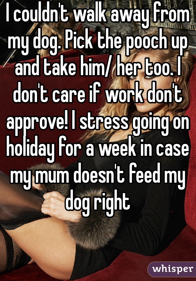I couldn't walk away from my dog. Pick the pooch up and take him/ her too. I don't care if work don't approve! I stress going on holiday for a week in case my mum doesn't feed my dog right 