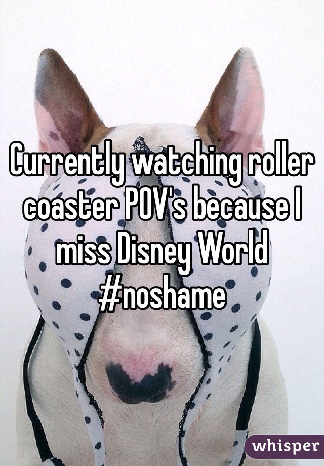 Currently watching roller coaster POV's because I miss Disney World #noshame 