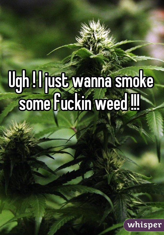 Ugh ! I just wanna smoke some fuckin weed !!! 