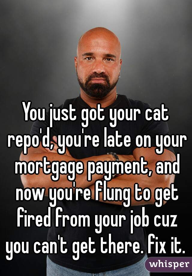 You just got your cat repo'd, you're late on your mortgage payment, and now you're flung to get fired from your job cuz you can't get there. fix it. 