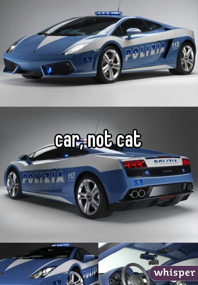 car, not cat