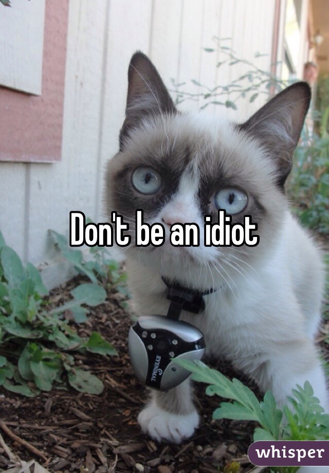 Don't be an idiot 