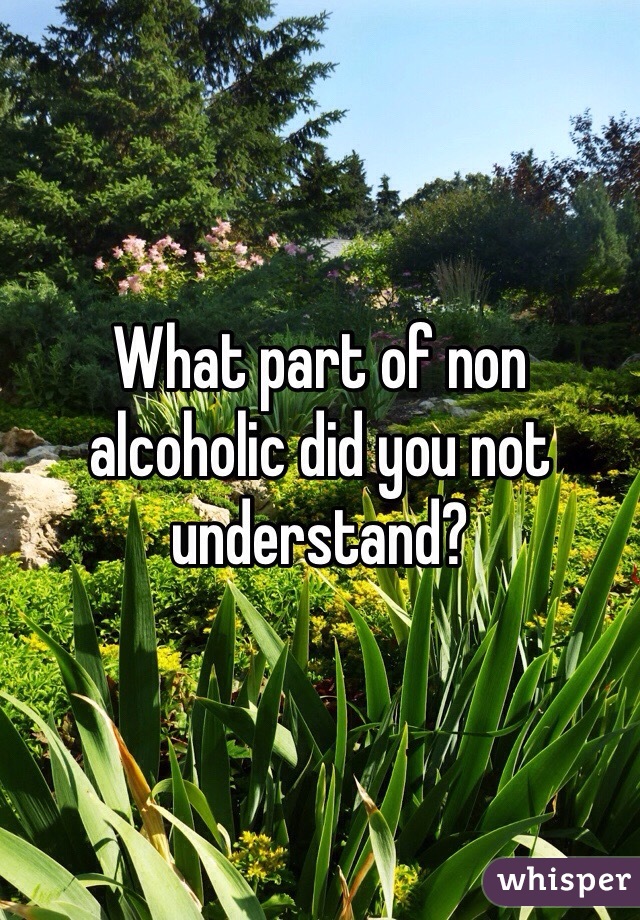 What part of non alcoholic did you not understand?