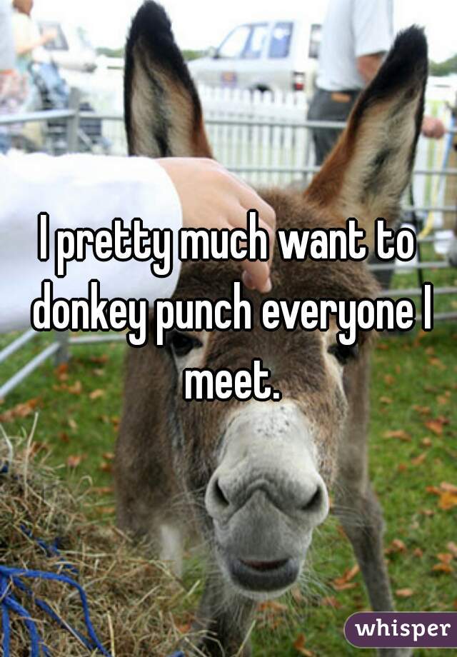 I pretty much want to donkey punch everyone I meet.