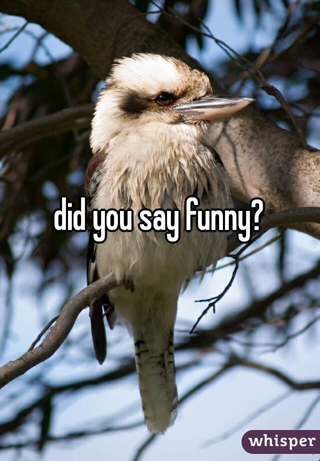did you say funny?