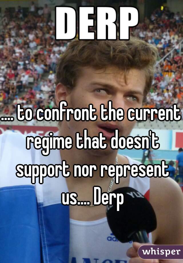 .... to confront the current regime that doesn't support nor represent us.... Derp