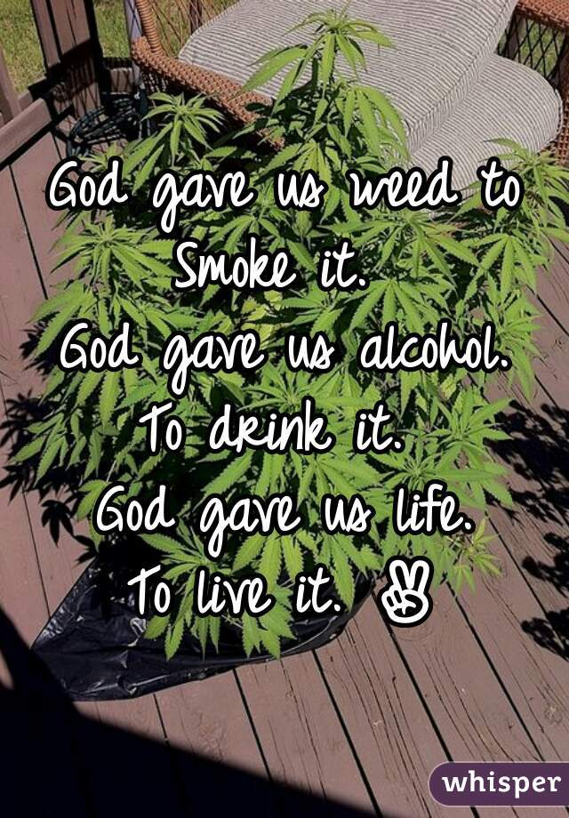 God gave us weed to
Smoke it. 
God gave us alcohol.
To drink it. 
God gave us life.
To live it. ✌