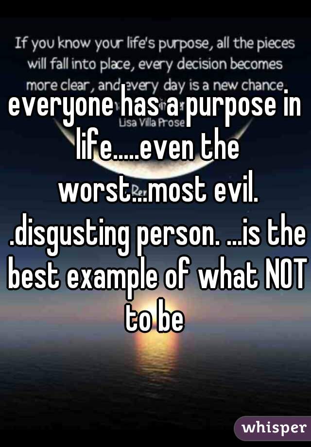 everyone has a purpose in life.....even the worst...most evil. .disgusting person. ...is the best example of what NOT to be 