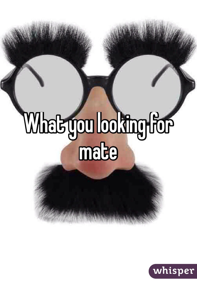 What you looking for mate

