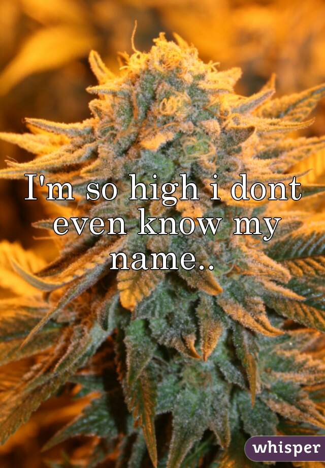 I'm so high i dont even know my name.. 
