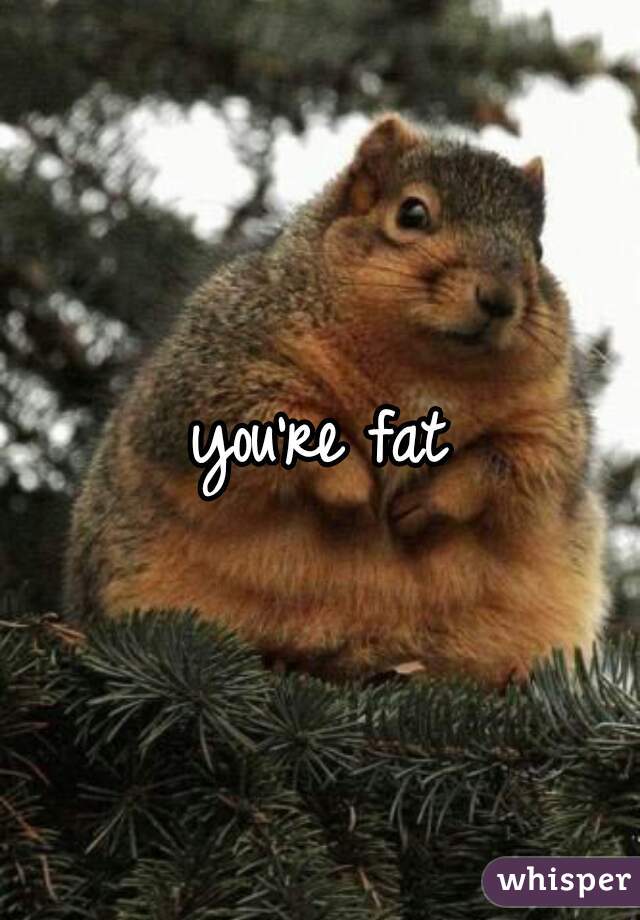 you're fat