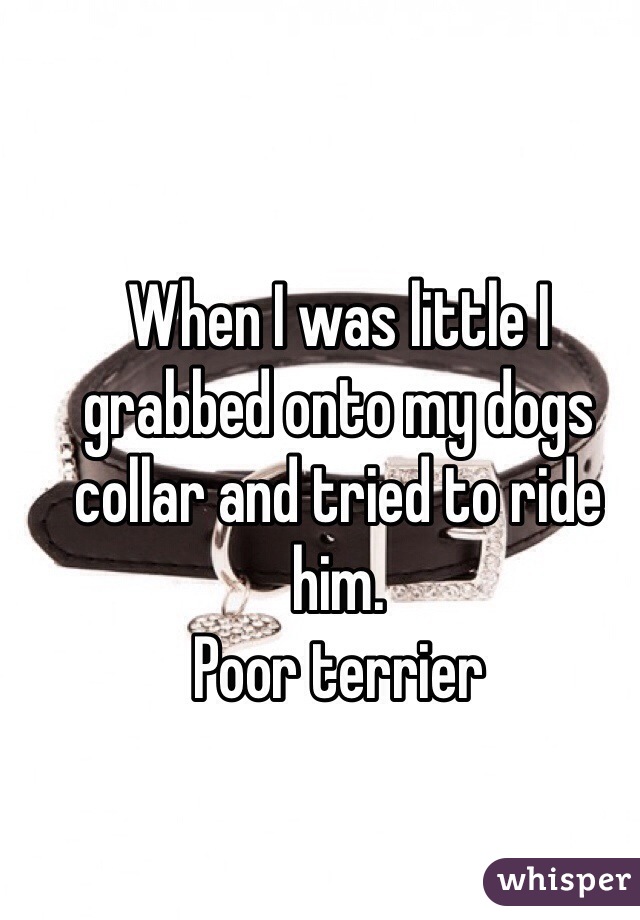 When I was little I grabbed onto my dogs collar and tried to ride him. 
Poor terrier