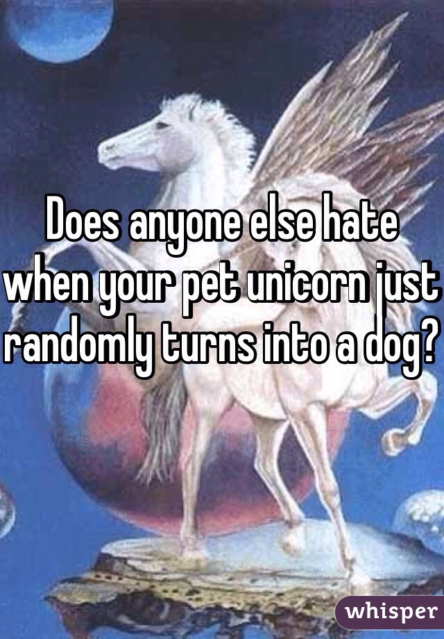 Does anyone else hate when your pet unicorn just randomly turns into a dog?