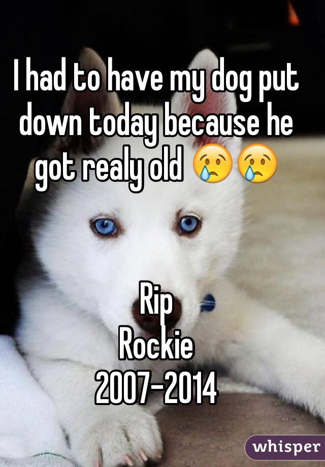 I had to have my dog put down today because he got realy old 😢😢


Rip
Rockie
2007-2014