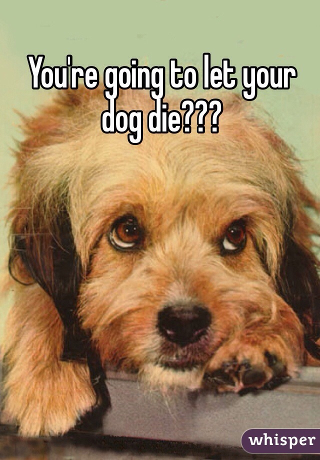 You're going to let your dog die??? 