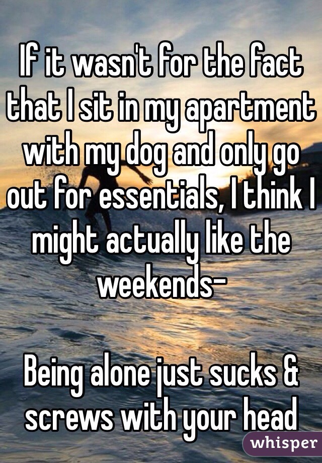 If it wasn't for the fact that I sit in my apartment with my dog and only go out for essentials, I think I might actually like the weekends- 

Being alone just sucks & screws with your head