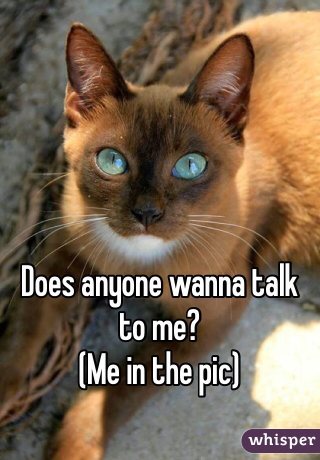 Does anyone wanna talk to me?
(Me in the pic)