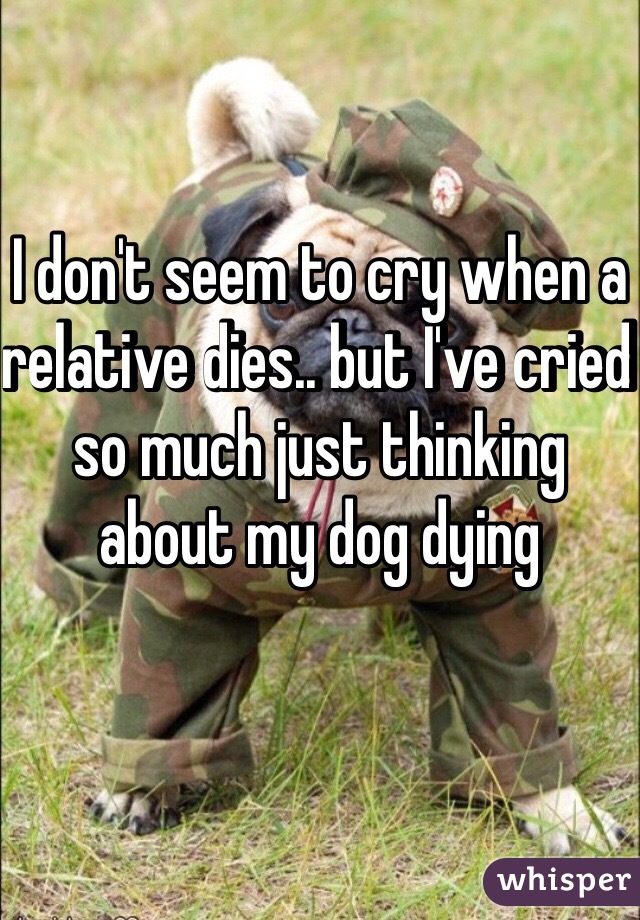 I don't seem to cry when a relative dies.. but I've cried so much just thinking about my dog dying 
