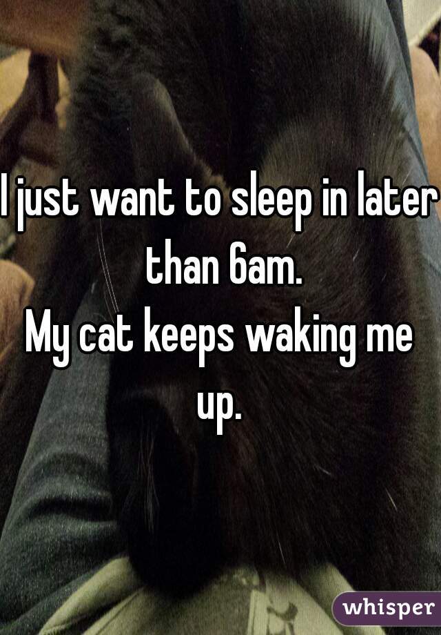 I just want to sleep in later than 6am.

My cat keeps waking me up. 