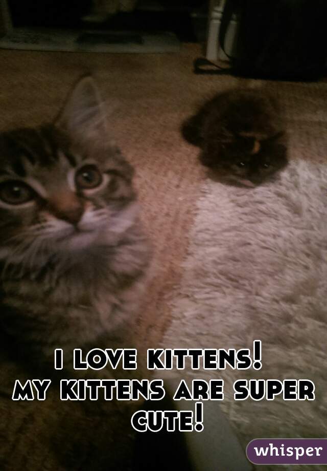 i love kittens! 

my kittens are super cute!