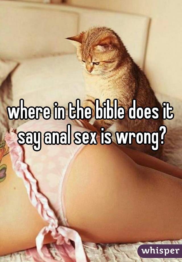 where in the bible does it say anal sex is wrong?