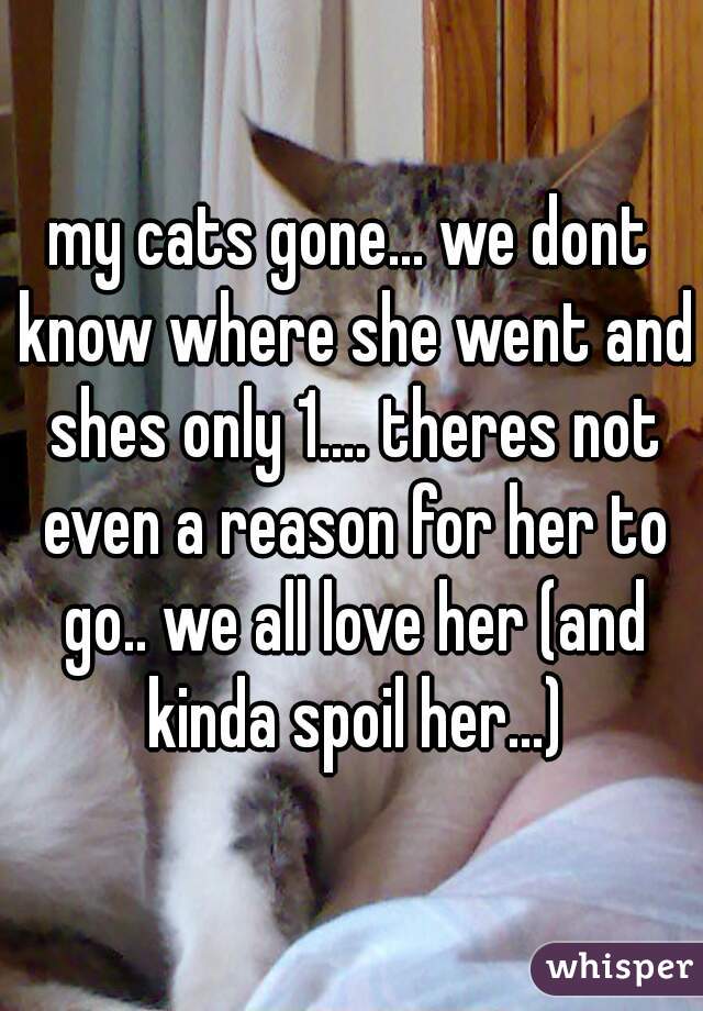 my cats gone... we dont know where she went and shes only 1.... theres not even a reason for her to go.. we all love her (and kinda spoil her...)