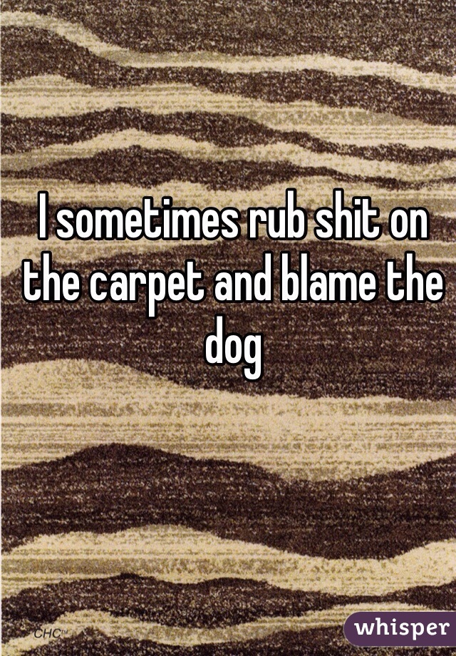 I sometimes rub shit on the carpet and blame the dog 