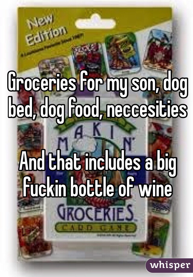 Groceries for my son, dog bed, dog food, neccesities

And that includes a big fuckin bottle of wine 