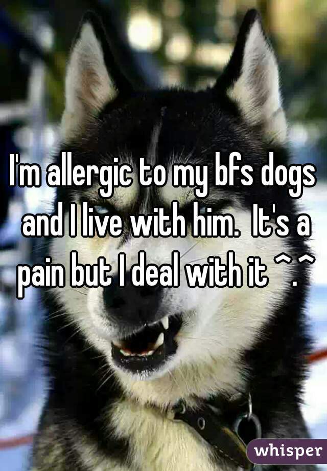 I'm allergic to my bfs dogs and I live with him.  It's a pain but I deal with it ^.^