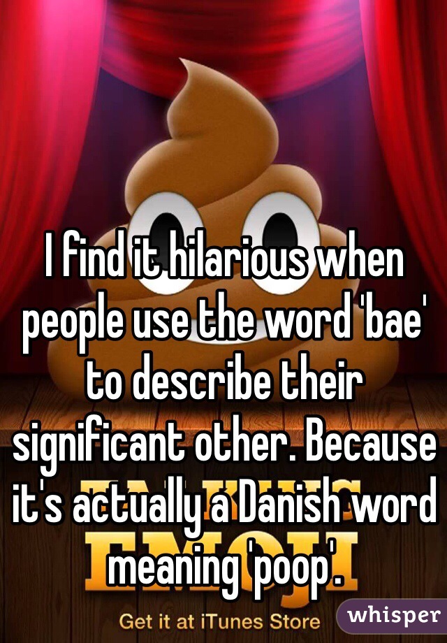 I find it hilarious when people use the word 'bae' to describe their significant other. Because it's actually a Danish word meaning 'poop'. 