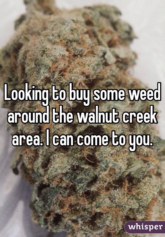 Looking to buy some weed around the walnut creek area. I can come to you. 
