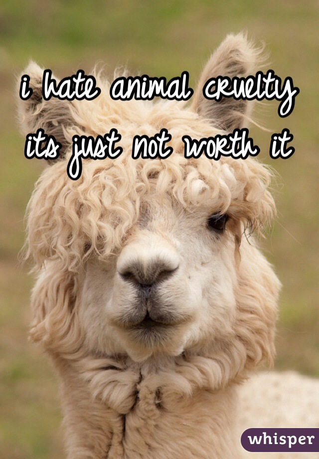 i hate animal cruelty its just not worth it