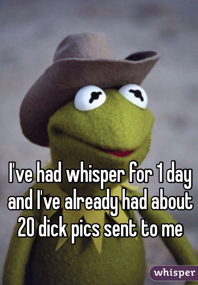 I've had whisper for 1 day and I've already had about 20 dick pics sent to me