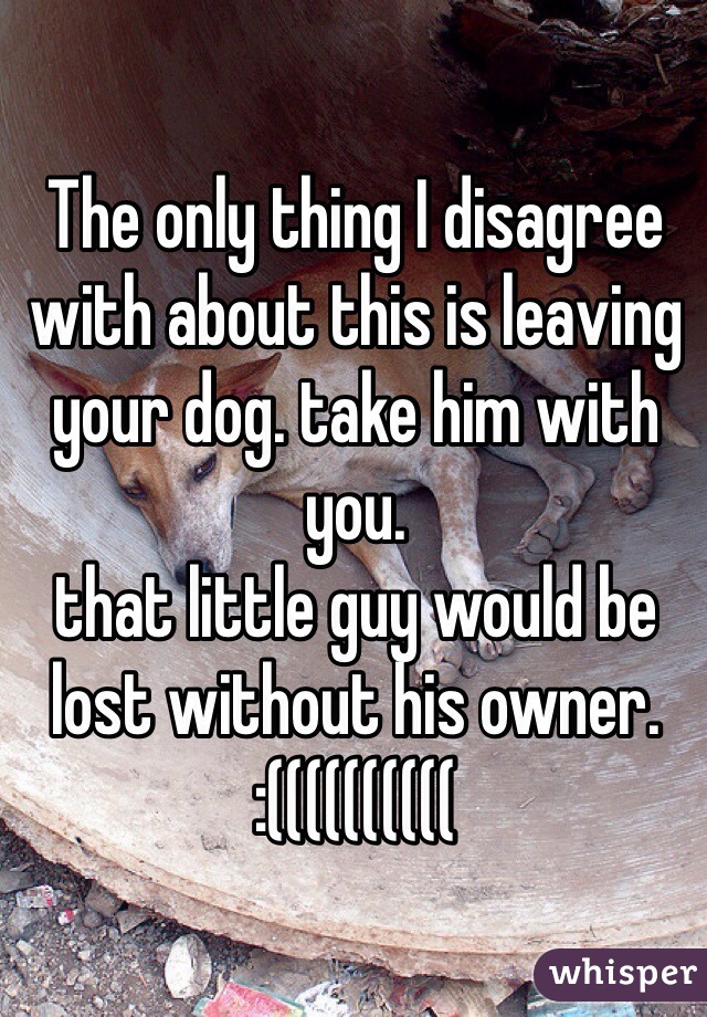 The only thing I disagree with about this is leaving your dog. take him with you. 
that little guy would be lost without his owner.
:((((((((((