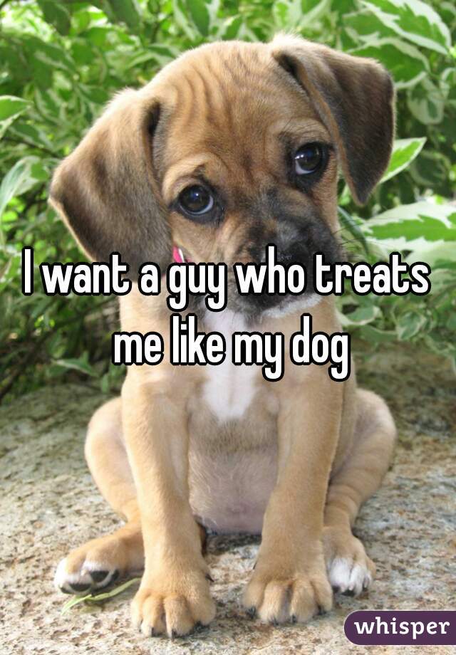 I want a guy who treats me like my dog